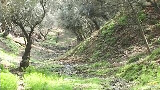 Those 2 hippies are sexually insatiable.