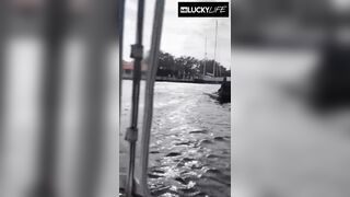 Miami Vibes With Venezuelan Angel Zoey Di Giacomo