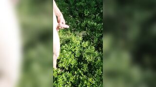 Walk exhibitionist in the forest