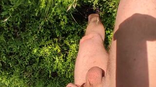 Most excellent ramrod in the forest