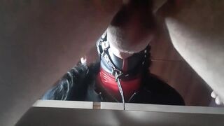 thirty Minutes compilation of Facial Screwing with Ring Gag, Oral-sex Creampies and Facials