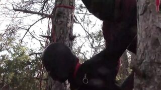 Preview Half an hour compilation of a mother i'd like to fuck drilled doggy style with reiterated orgasms