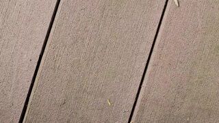 Pissing On The Porch 《4k》