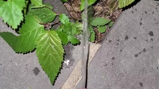 Pissing On The Plant three 《4k》