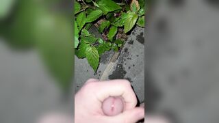 Pissing On The Plant three 《4k》