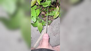 Pissing On The Plant three 《4k》