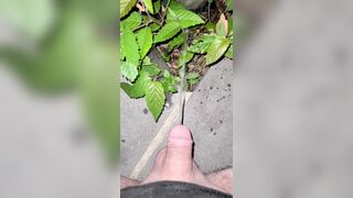 Pissing On The Plant three 《4k》