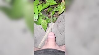 Pissing On The Plant three 《4k》