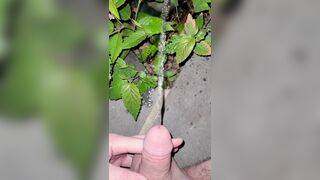 Pissing On The Plant three 《4k》
