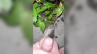 Pissing On The Plant three 《4k》