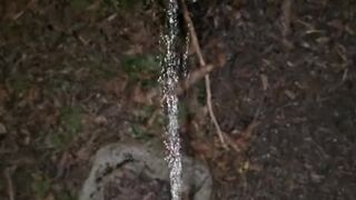 Pissing On The Plant 《4k》