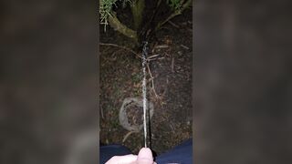 Pissing On The Plant 《4k》