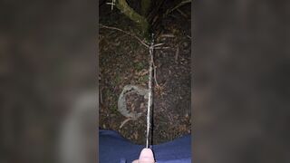 Pissing On The Plant 《4k》