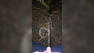 Pissing On The Plant 《4k》