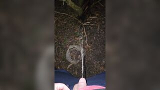 Pissing On The Plant 《4k》