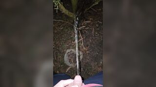 Pissing On The Plant 《4k》