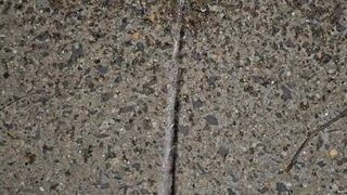 Pissing In The Stones 《4k》