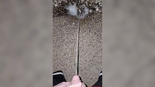 Pissing In The Stones 《4k》