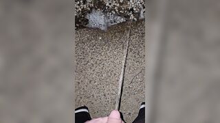 Pissing In The Stones 《4k》