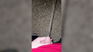 Pissing In The Stones 《4k》