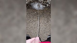 Pissing In The Stones 《4k》