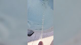 Jacuzzi Piddle 《4k》