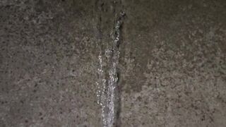 Sidewalk Urinate two《4k》