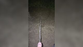 Sidewalk Urinate two《4k》