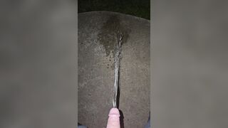 Sidewalk Urinate two《4k》