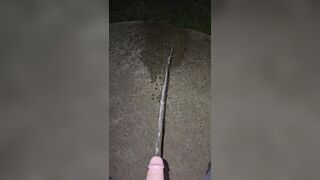 Sidewalk Urinate two《4k》