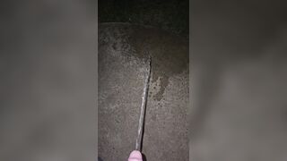 Sidewalk Urinate two《4k》