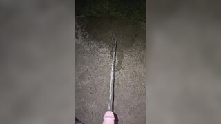 Sidewalk Urinate two《4k》