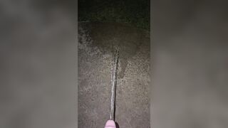 Sidewalk Urinate two《4k》