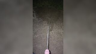 Sidewalk Urinate two《4k》