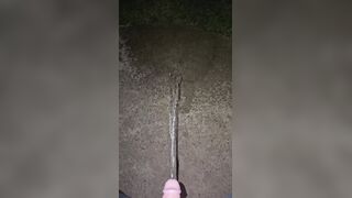 Sidewalk Urinate two《4k》