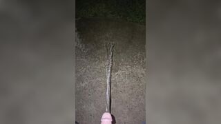 Sidewalk Urinate two《4k》