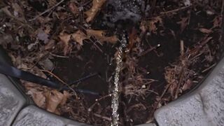 Pissing On The Plant two 《4k》