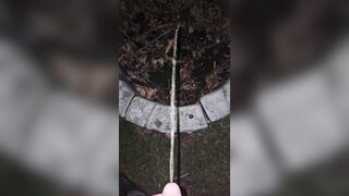 Pissing On The Plant two 《4k》