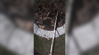 Pissing On The Plant two 《4k》