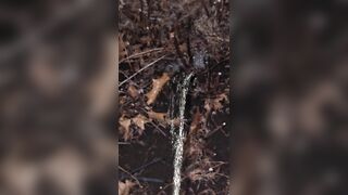 Pissing On The Plant two 《4k》