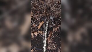 Pissing On The Plant two 《4k》