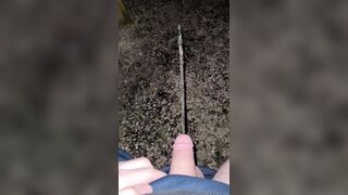 Pissing Off The Chair 《4k》