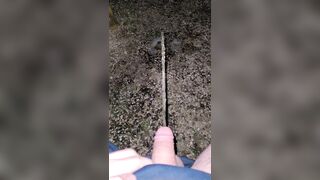 Pissing Off The Chair 《4k》