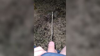 Pissing Off The Chair 《4k》