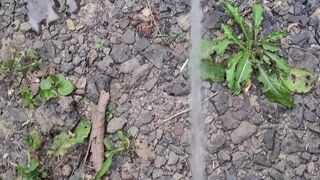 Pissing On The Path 《4k》