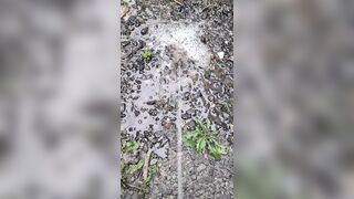 Pissing On The Path 《4k》