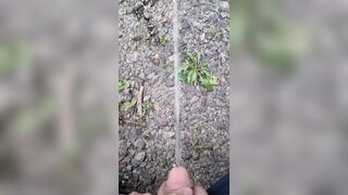 Pissing On The Path 《4k》