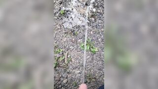 Pissing On The Path 《4k》