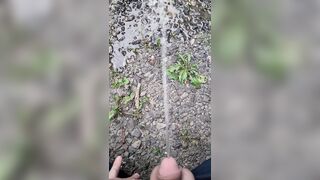 Pissing On The Path 《4k》