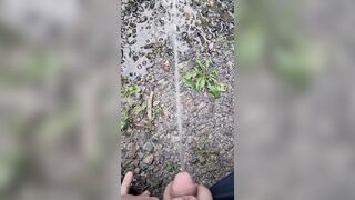 Pissing On The Path 《4k》